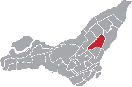 carte-arrondissement-Rosemont-Petite Patrie