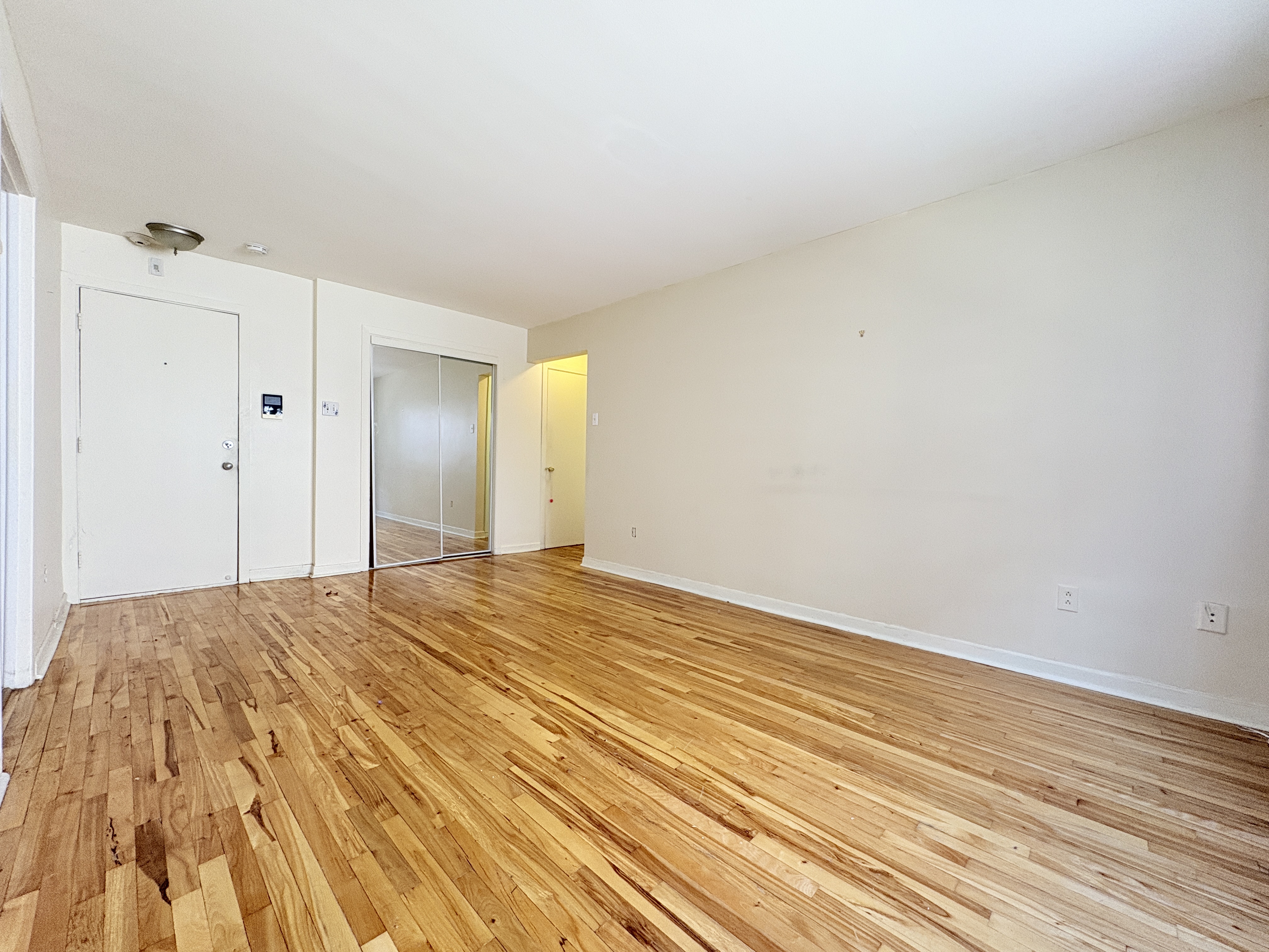 3919 Rue Newmarch, Montréal — photo 1